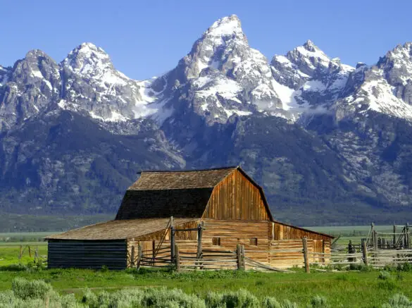 【Grand Teton 大提頓國家公園】首訪大提頓的1日遊行程 — Let‘s travel!