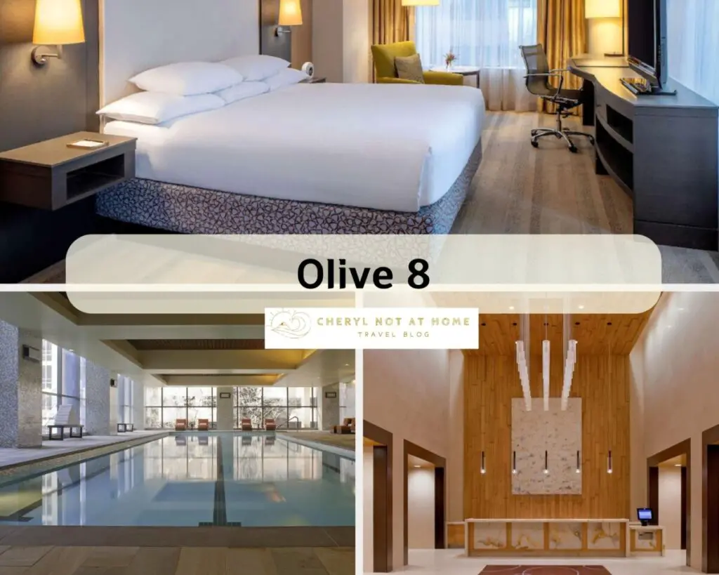 2026西雅圖住宿推薦：Olive 8 